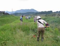 草刈り体験 （ボランティア参加者が作業をしています。）
