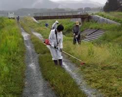 草刈り体験 （ボランティア参加者が作業をしています。）
