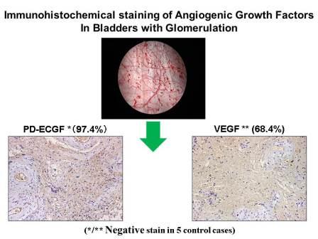 血管新生因子～Growth  factor～