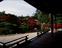 写真：宸殿の北庭