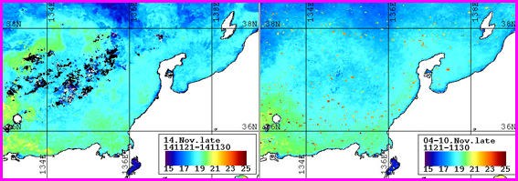 ノア表面水温分布（11月下旬）