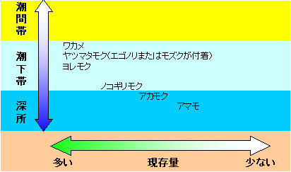 舞鶴市田井