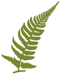 シダ植物のロゴマーク