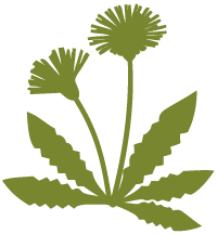 種子植物のロゴマーク