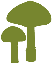 菌類のロゴマーク