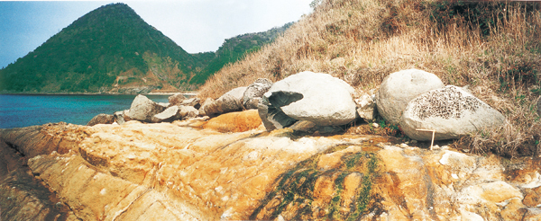 京丹後市丹後町袖志における海成段丘下位面とタフォニ化を受けた海成礫
