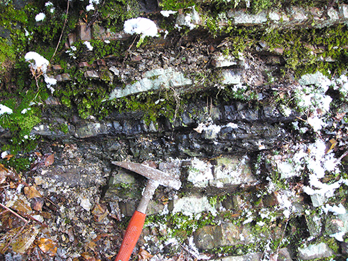 芦見谷支流の三ノ谷炭素質頁岩で写真中央部が黒色有機質泥岩