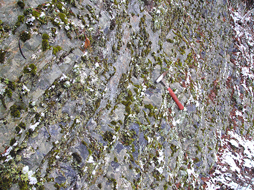 三ノ谷トリアス紀　チャート部の砥石型珪質頁岩とチャート互層部分