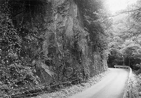 宇治市志津川のペルム紀コノドントを含むチャートの崖