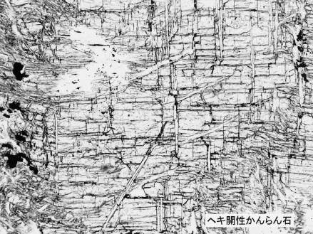 大江山のダナイト薄片写真（オープンニコル）。横巾は2mm
