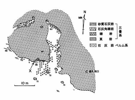 質志鍾乳洞付近の地質図。ペルム系石灰岩と三畳系の間が不整合（武蔵野ほか1979）