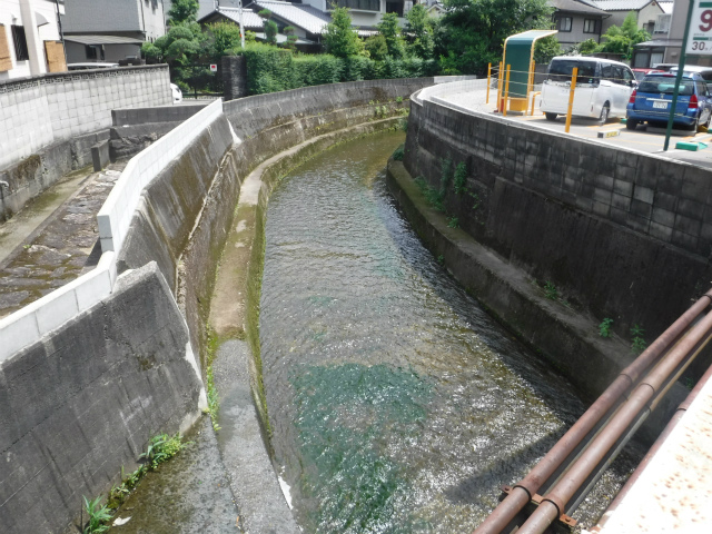 river_shinomiya_sawabashi