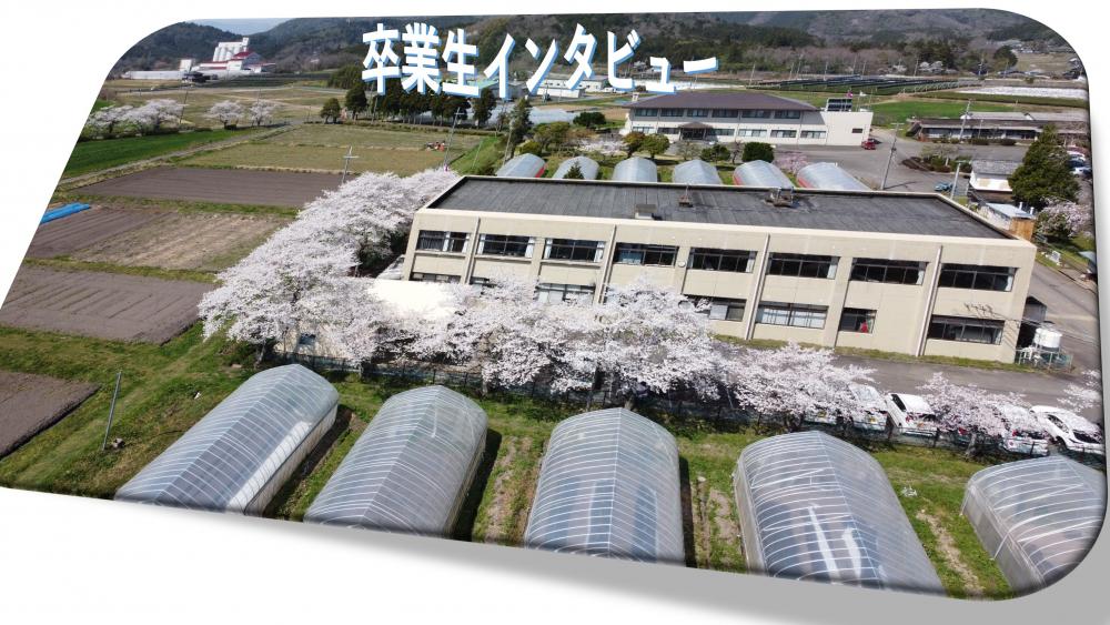 卒業生インタビュー