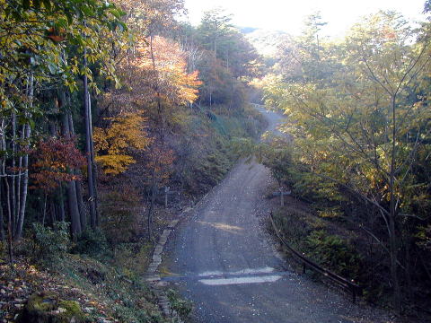海老坂付近を通過する林道
