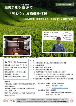 平成29年5月21日実施の瓶原でお茶摘み体験のチラシ画像