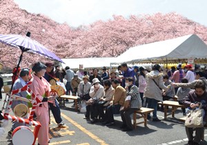 宇治田原町のさくら福祉まつりの写真