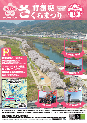 八幡市淀川河川公園背割堤さくらまつりチラシ画像