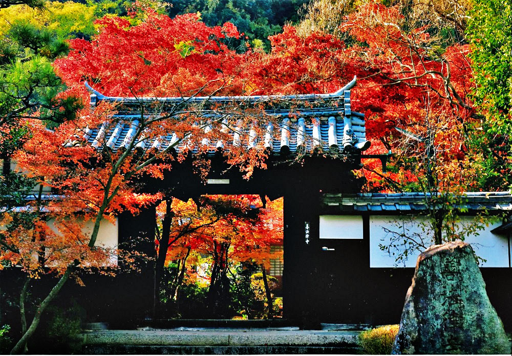 イベント 京都 京都やわたの紅葉満喫 秋の文化財一斉公開 八幡市 八幡市内 京都やましろ観光