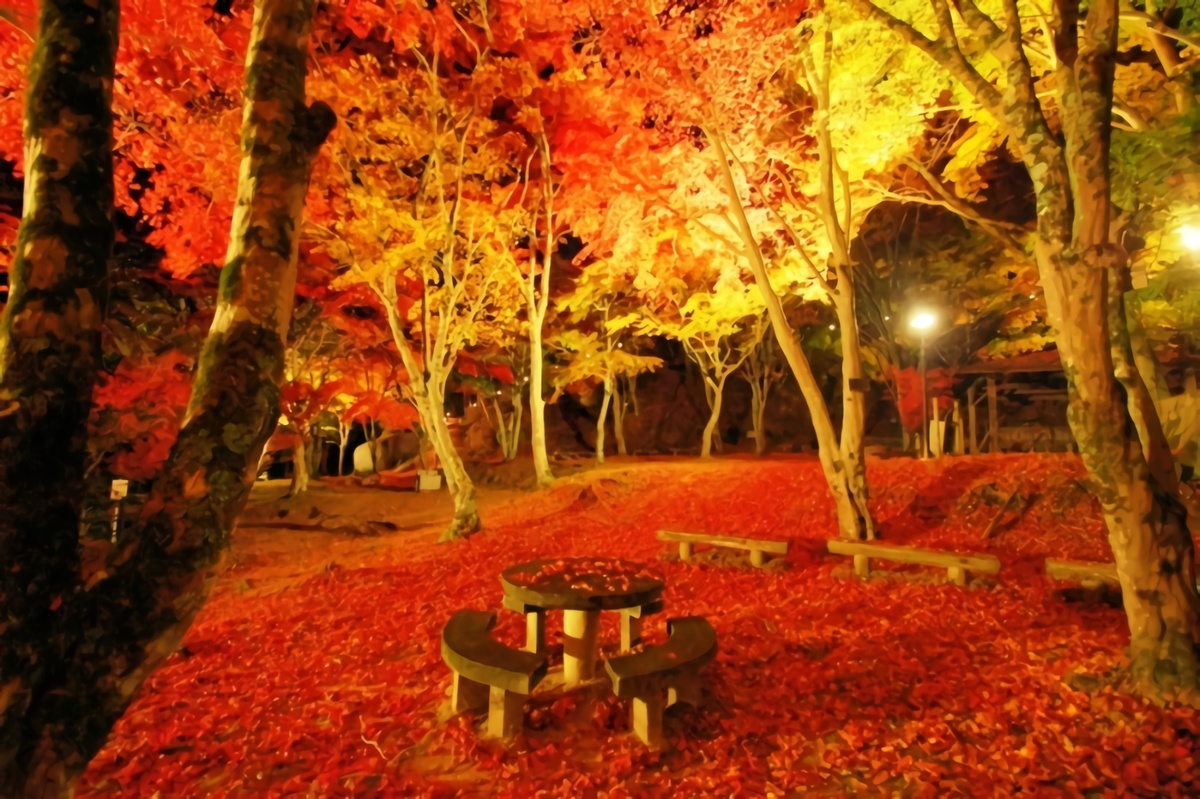 イベント 京都 笠置山もみじ公園 夜間ライトアップ 笠置町 笠置山もみじ公園 京都やましろ観光
