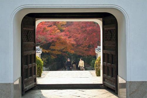 興聖寺の紅葉の写真7