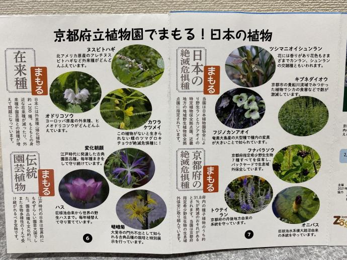 日本の植物を守る
