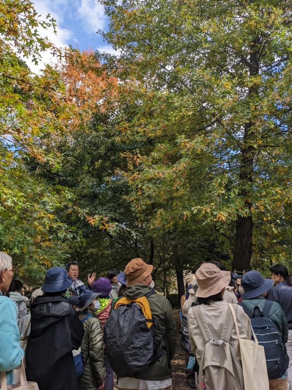 植物園ガイドツアーの様子