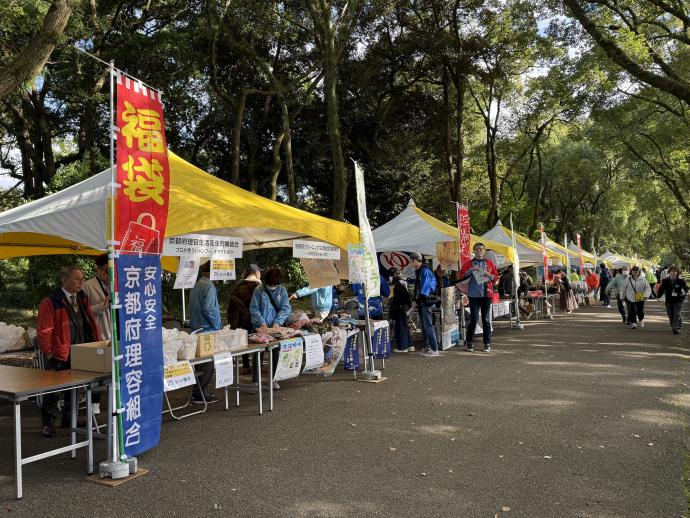 くすのき並木の様子