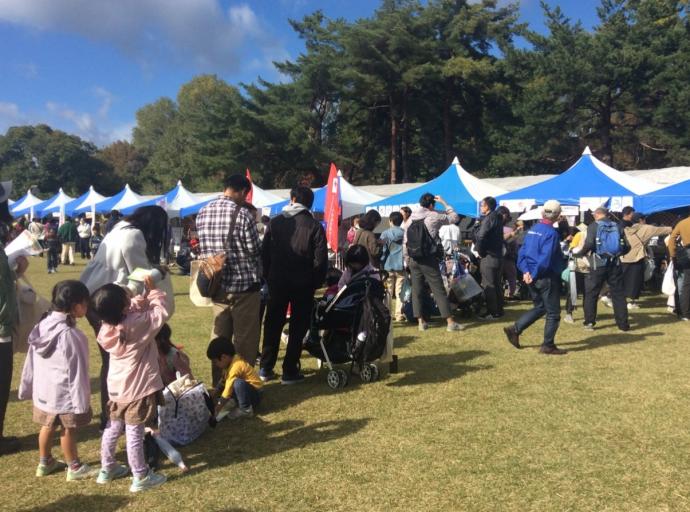 大芝生地の様子