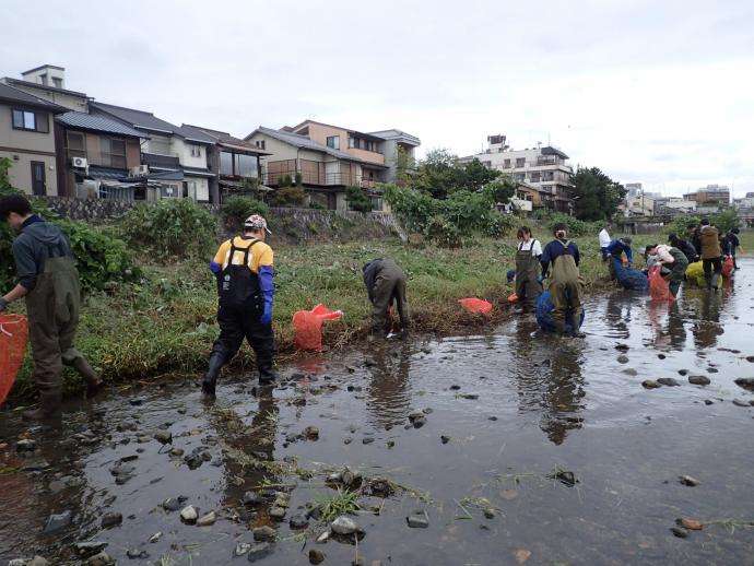 中信オオバナ３