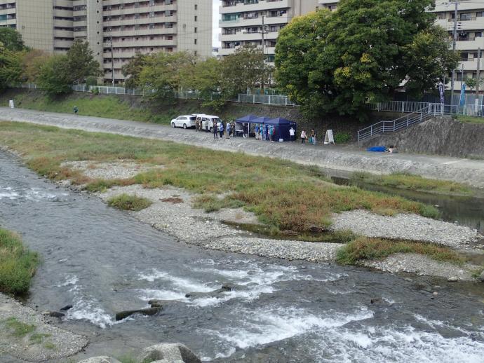 中信オオバナ１