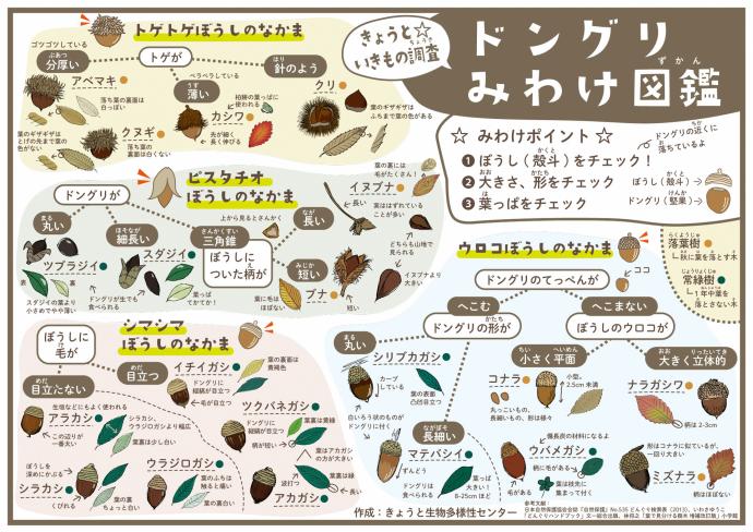 見分け方裏