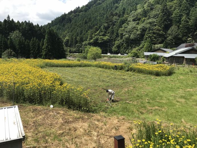 花背での繁殖のようす4