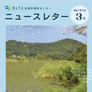 ニュースレター３号