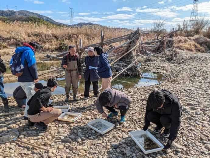 生き物調査のようす