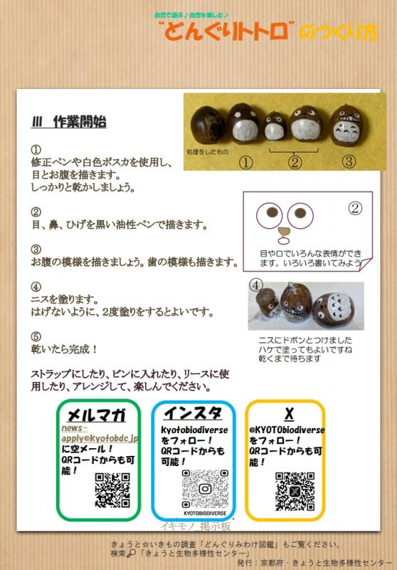 どんぐりととろ2