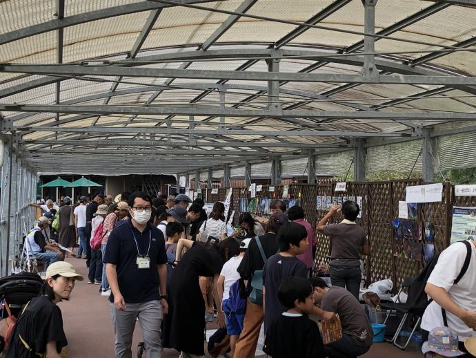フェス2