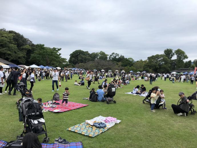フェス3