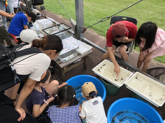 フェス5