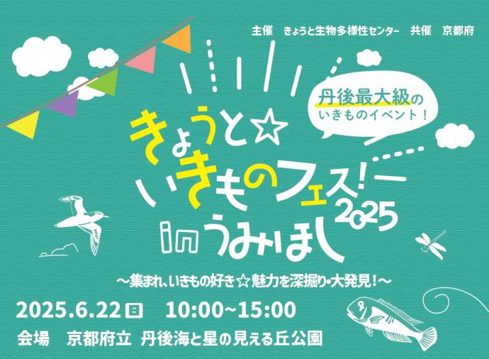 うみほしフェスチラシ表面