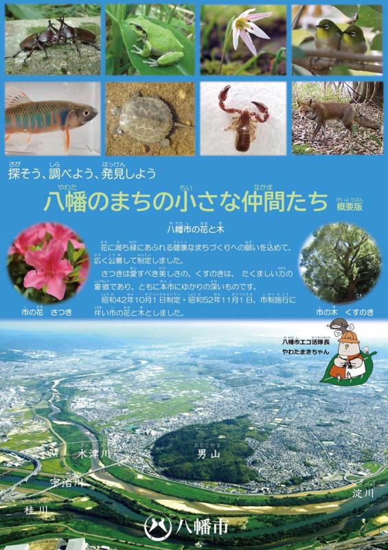 yawata4