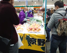 フェス2025写真1