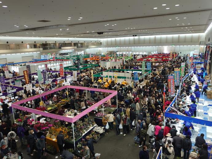 フェス2025写真3