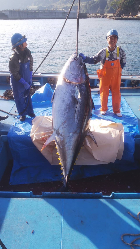 菱田会長の漁の様子写真
