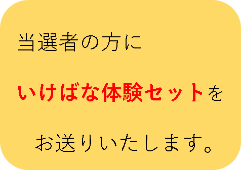 いけばな体験セット