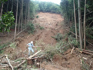 荒木山腹