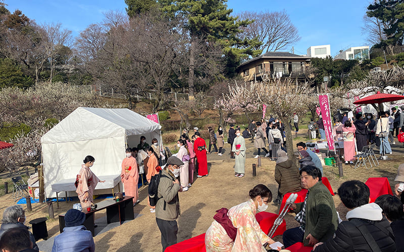 英理女子学院高等学校