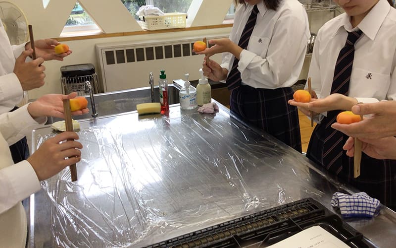 京都府立城南菱創高等学校