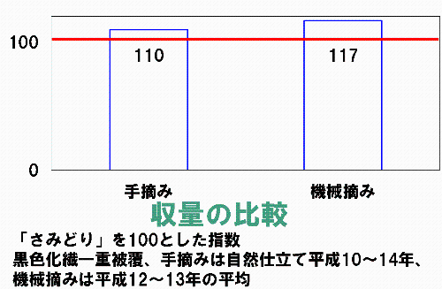 鳳春　収量の比較