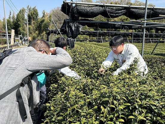 R8萌芽宣言