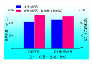 収量・品質の比較